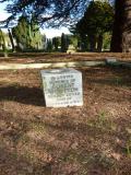 image of grave number 228403